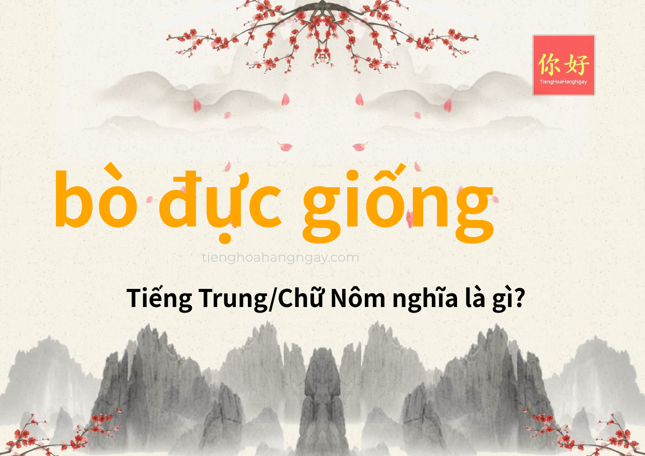 bò đực giống tiếng Trung là gì?